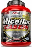 Протеин AMIX Micellar Casein шоколадний