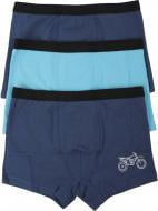 Набор трусов для мальчиков HW 3 пары боксеры р.158-164 голубой с синим N6-O6