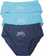 Набір трусів для хлопчиків HW 3 пари р.158-164 блакитний із синім P6-Q6