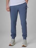 Брюки 4F TROUSERS CAS M1674 4FWMM00TTROM1674-32S р. 2XL синий
