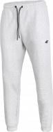 Брюки 4F 4FWMM00TTROM1673-27M р. 2XL серый