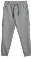 Брюки 4F 4FWSS26TTROM1443-27M р. 2XL серый