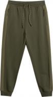 Брюки 4F 4FWSS26TTROM1442-43S р. 2XL хаки