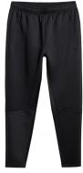 Брюки 4F 4FWSS26TFTRM1057-20S р. 2XL черный