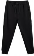 Брюки 4F 4FWSS26TTROM1443-20S р. 2XL черный