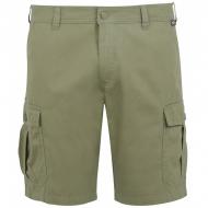 Шорты Regatta RuwanShort RMJ310-9B9 р. 38 зеленый