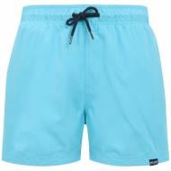 Шорты Regatta Mawson SwShortIII RMM016-42L р. M голубой