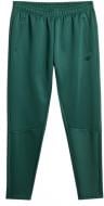 Брюки 4F 4FWSS26TFTRM1057-41S р. M зеленый