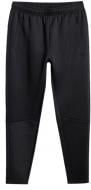 Брюки 4F 4FWSS26TFTRM1057-20S р. M черный