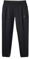 Брюки 4F 4FWSS26TFTRM1033-20S р. M черный