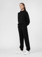 Брюки 4F 4FSS22TTROF110-20S р. XS черный