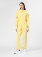Брюки 4F 4FSS22TTROF110-71S р. M желтый