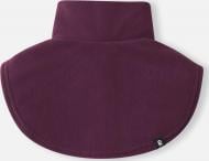 Манишка Reima Legenda бордовый 5300014C-4960