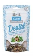 Лакомство Brit Care Dental с индейкой, 50 г