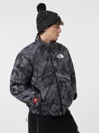 Куртка мужская THE NORTH FACE M TNF JACKET 2000 NF0A7URE-3VO1 р.XL черная