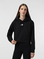 Джемпер THE NORTH FACE W ESSENTIAL CROP HOODIE NF0A89EX-JK31 р.L черный