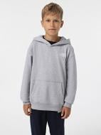 Джемпер THE NORTH FACE TEEN ESSENTIAL OVERSIZED HOODIE NF0A89HA-DYX1 р.L серый Джемпер THE NORTH FACE TEEN ESSENTIAL OVERSIZED HOODIE NF0A89HA-DYX1 р.L серый