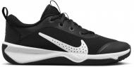 Кроссовки демисезонные Nike OMNI MULTI-COURT DM9027-002 р.39 черные