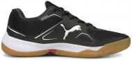 Кроссовки мужские демисезонные Puma Solarflash 10647105 р.44,5 черные