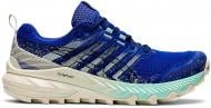 Кроссовки женские Asics GEL-Trabuco 9 1012A904-400 р.40 бежево-синие