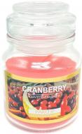 Свеча ароматическая Pako-If Клюква