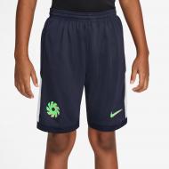 Шорты Nike EH K NK DF ACD25 SHORT IF2812-451 р. XL разноцветный