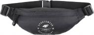 Сумка 4F WAIST BAG M067 4FJWSS24AWAIM067-21S чорний