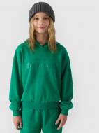 Джемпер 4F SWEATSHIRT F1213 4FJWAW24TSWSF1213-41S р.146 зеленый