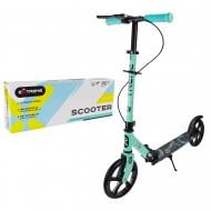 Самокат Shantou бирюзовый SK2434 Tiffany