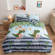 Комплект постельного белья Бязь 17-0489 Skater Dude 220х240 см мультиколор MirSon