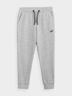 Брюки 4F HJL21-JSPMD001A-27M р. 164 светло-серый меланж