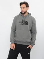 Джемпер THE NORTH FACE M DREW REAK HOODIE NF00AHJYLXS1 р. L сірий