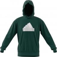 Джемпер Adidas M FI BOS HD IW8553 р.XL зеленый