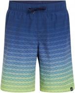 Шорты Firefly 427016-515 р. 164 синий