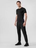 Брюки 4F 4FSS22TFTRM024-20S р. 2XL черный