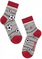 Носки детские для мальчиков Conte-Kids CK TIP-TOP 396 5С-11СП р.16 серый