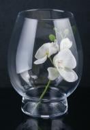 Ваза стеклянная Wrzesniak Glassworks 13х20,5 см 20,5 см прозрачная 17-2159D