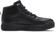 Кроссовки мужские зимние Puma Tarrenz SB Puretex 37055201 р.42 черные Кроссовки мужские зимние Puma Tarrenz SB Puretex 37055201 р.42 черные