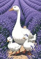 Набір для розпису за номерами Riviera Blanca Лавандовий променад 28x40 см RB-1147