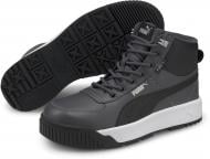 Кроссовки мужские зимние Puma Tarrenz SB Puretex 37055207 р.42,5 серо-черные