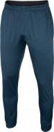 Брюки 4F NOSH4-SPMTR001-30M р. 2XL синий меланж