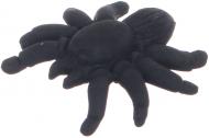 Ластик Тарантул черный