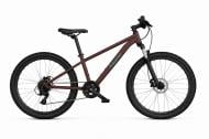 Велосипед Aspini 24" 12"(30 см) Leo 24 LEO24-BR коричневый Велосипед Aspini 24" 12"(30 см) Leo 24 LEO24-BR коричневый