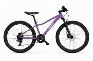 Велосипед Aspini 29" 17"(43 см) Etna 29 ET29-VI-17 фиолетовый
