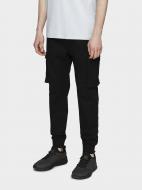 Брюки 4F H4L21-SPMC010-20S р. L черный Брюки 4F H4L21-SPMC010-20S р. L черный