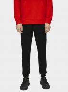 Брюки 4F H4L21-SPMD011-20S р. 2XL черный Брюки 4F H4L21-SPMD011-20S р. 2XL черный
