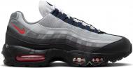 Кроссовки мужские демисезонные Nike AIR MAX 95 DM0011-007 р.40,5 черные