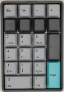 Клавіатура ігрова Varmilo VA21M Moonlight Cherry MX Red (VA21MR2N/LLPN2W) grey Клавіатура ігрова Varmilo VA21M Moonlight Cherry MX Red (VA21MR2N/LLPN2W) grey
