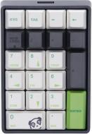 Клавіатура ігрова Varmilo VA21M Panda Cherry MX Blue (VA21MC2N/LLPANDV) grey Клавіатура ігрова Varmilo VA21M Panda Cherry MX Blue (VA21MC2N/LLPANDV) grey