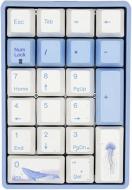 Клавіатура ігрова Varmilo VA21M Sea Melody Cherry MX Brown (VA21MN2N/LBPE7HV) blue Клавіатура ігрова Varmilo VA21M Sea Melody Cherry MX Brown (VA21MN2N/LBPE7HV) blue